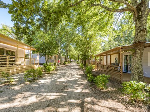 MOBILHOME 4 personnes - Bijela Uvala - Mobile home Porec