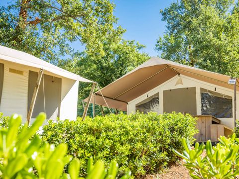 Camping Bijela Uvala  - Camping Istria - Image N°77