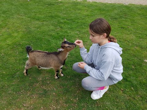 Camping Le Saint Laurent - Camping Morbihan - Image N°18