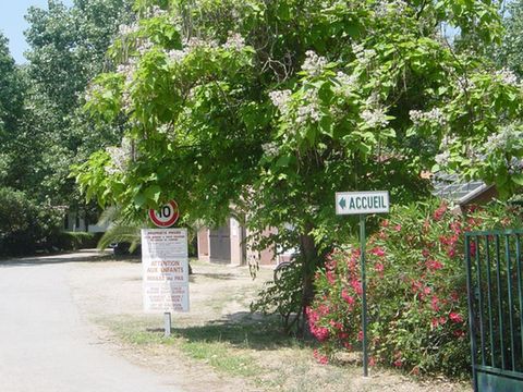 Camping Benista - Camping Corse du sud - Image N°25