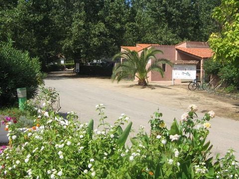 Camping Benista - Camping Corse du sud - Image N°22