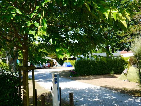 Camping La Corniche - Camping Finistère - Image N°24