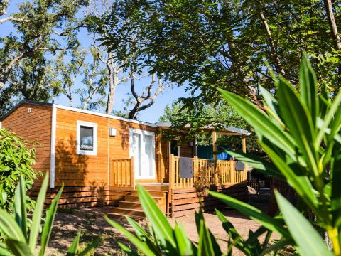 Camping Campo di Mare  - Camping Corse du Sud - Image N°33