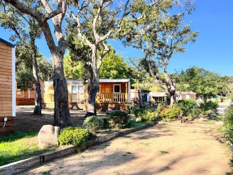 Camping Campo di Mare  - Camping Corse du Sud - Image N°32
