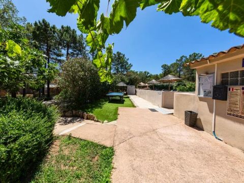 Camping Campo di Mare  - Camping Corse du Sud - Image N°19