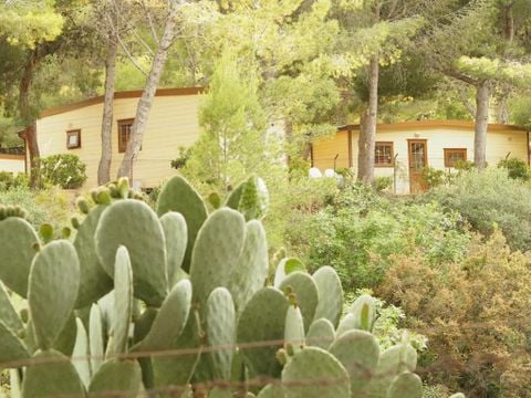 MOBILHOME 5 personnes - LARGE