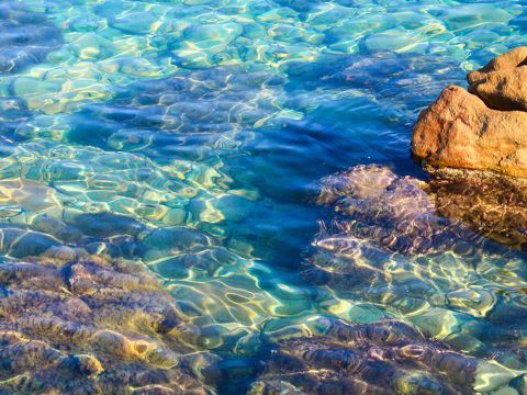 Camping Rais Gerbi - Camping Palerme - Image N°41