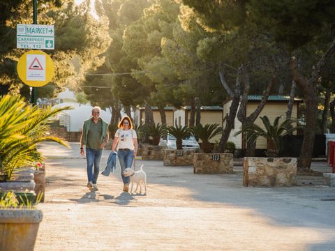 Camping Rais Gerbi - Camping Palerme - Image N°8