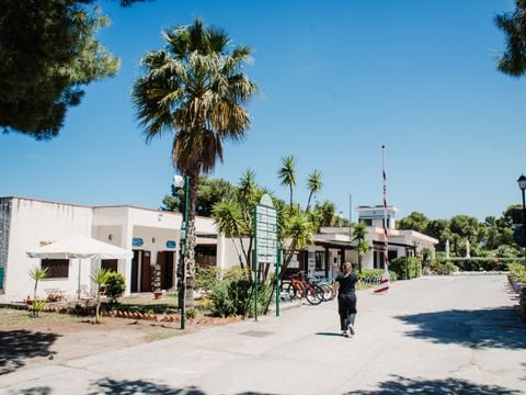 Camping Rais Gerbi - Camping Palerme - Image N°4