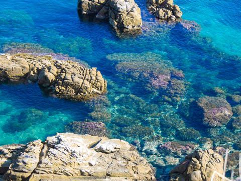 Camping Rais Gerbi - Camping Palerme - Image N°40