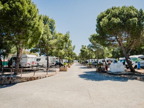 Camping Rais Gerbi - Camping Palerme - Image N°64