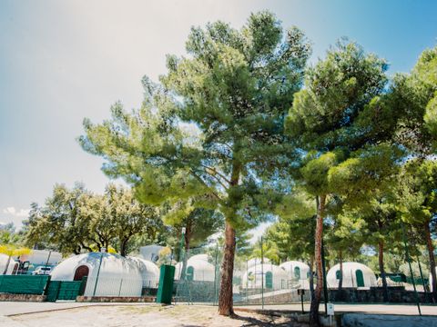 Camping Rais Gerbi - Camping Palerme - Image N°62