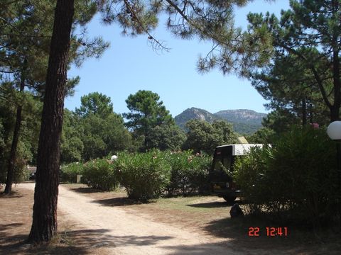Camping Les Jardins du Golfe - Camping Corse du sud - Image N°4