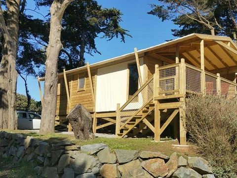 Camping Eleovic - Camping Loire-Atlantique - Image N°20