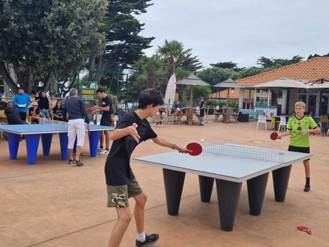 Camping Eleovic - Camping Loire-Atlantique - Image N°37