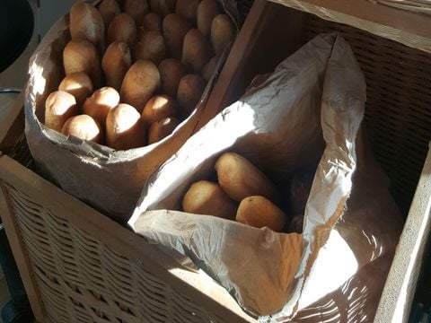 Camping Eleovic - Camping Loire-Atlantique - Image N°26