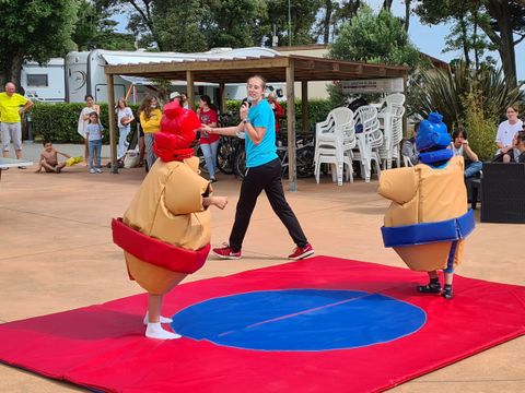 Camping Eleovic - Camping Loire-Atlantique - Image N°21