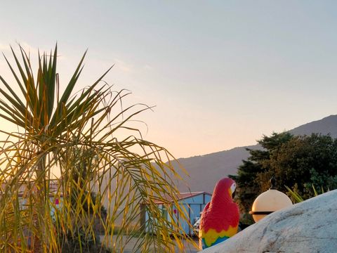 Camping Tikiti - Camping Corse du Sud - Image N°43