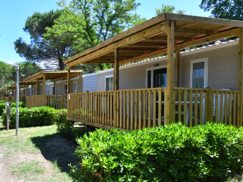 MOBILHOME 5 personnes - LODGE DOG