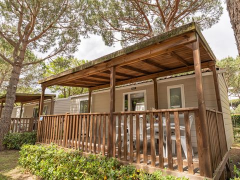 LODGE 4 personnes - Confort