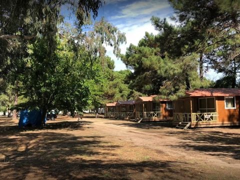 Camping L'Oso - Camping Corse du sud - Image N°5
