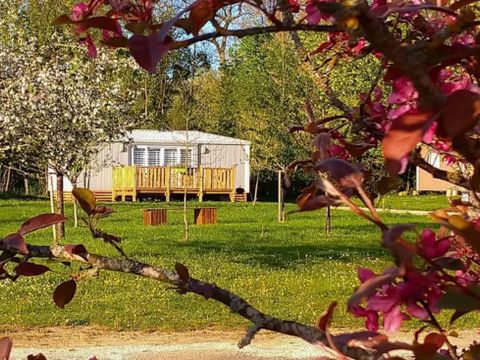Mobilhome 4 personnes - Lodge Cerisier 2 chambres