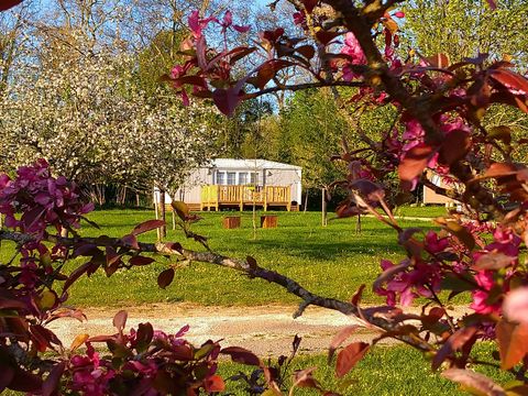 Mobilhome 4 personnes - Lodge Cerisier 2 chambres