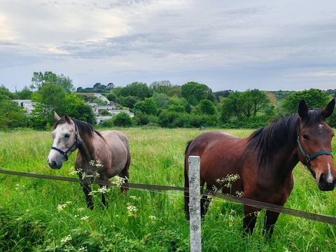 Camping Les Peupliers - Camping Finistère - Image N°48