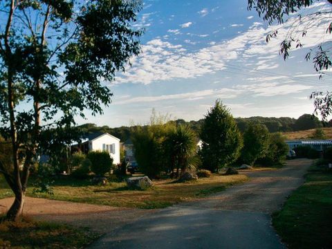 Camping Les Peupliers - Camping Finistere - Image N°12