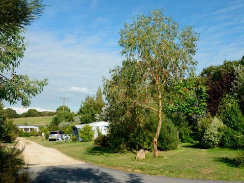 Camping Les Peupliers - Camping Finistere - Image N°10