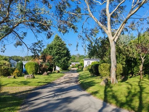 Camping Les Peupliers - Camping Finistère - Afbeelding N°3