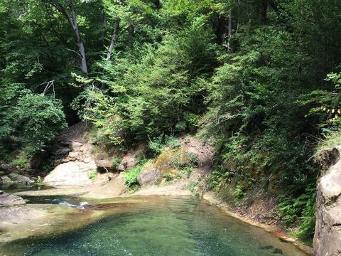 Camping La Bernede  - Camping Aude - Image N°15