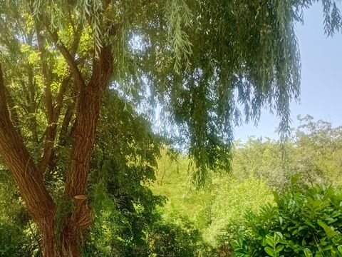 Camping La Bernede  - Camping Aude - Image N°24