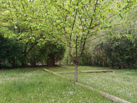 Camping La Bernede  - Camping Aude - Image N°21
