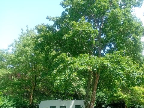 Camping La Bernede  - Camping Aude - Image N°25