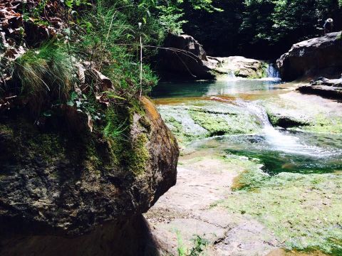 Camping La Bernede  - Camping Aude - Image N°18