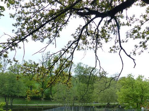 Camping La Peyrade - Camping Aveyron