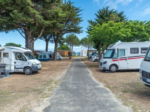 Flower Camping Le Platin - La Redoute - Camping Charente-Maritime - Image N°19