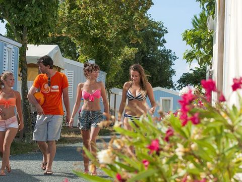 Camping Le Platin - Redoute  - Camping Charente-Maritime - Image N°12
