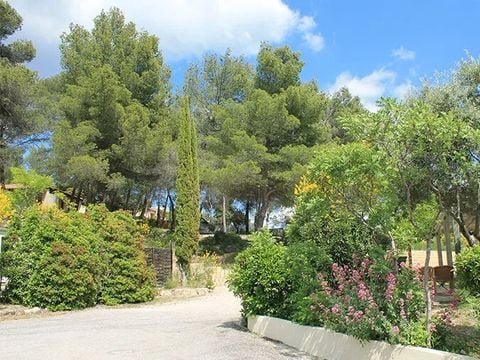 Camping Le Cézanne - Camping Bouches-du-Rhône - Afbeelding N°11