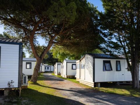 Camping Campéole Pontaillac-plage - Camping Charente-Maritime - Image N°14