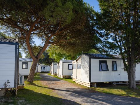 Camping Club Pontaillac Plage 4* - MS VACANCES - Camping Charente-Maritime - Image N°43