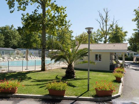 Camping Les Chèvrefeuilles  - Camping Charente-Maritime - Image N°36