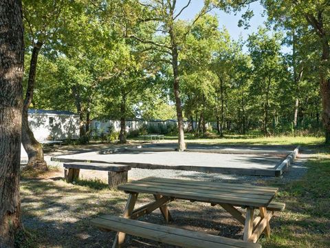 Camping Les Chèvrefeuilles  - Camping Charente-Maritime - Image N°12