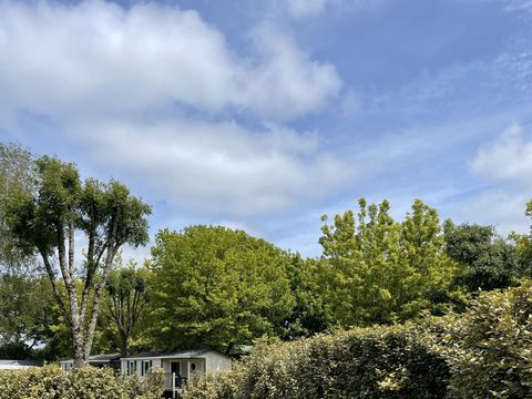 Emplacement - Emplacement avec électricité 10A
