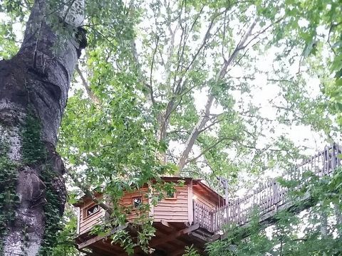 Camping Universal - Camping Gard - Image N°37