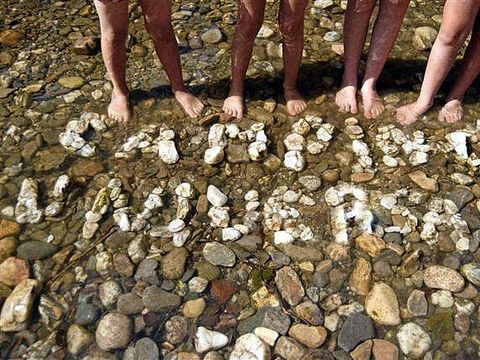 Camping Universal - Camping Gard - Image N°43