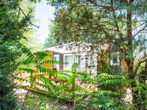 MOBILHOME 4 personnes - MOBILUXE PREMIUM