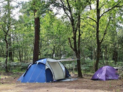 Camping L' Ecureuil  - Camping Charente-Maritime - Image N°20