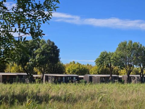 Camping La Plage d'Argens - Camping Var - Image N°17